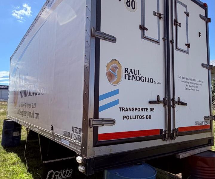 FURGON PARA POLLITOS BEBES